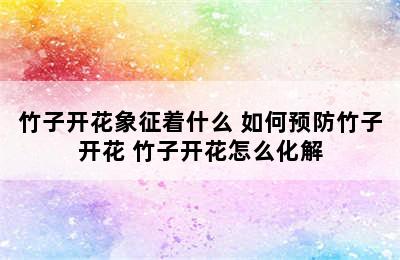 竹子开花象征着什么 如何预防竹子开花 竹子开花怎么化解